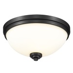 Ashton Ceiling Light - Matte Black / Matte Opal