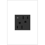 Dual Controlled 15 Amp Energy Saving Outlet - Graphite