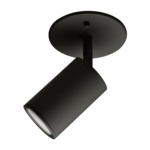 Barclay Semi Flush Ceiling / Wall Light - Black
