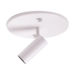 Downey Adjustable Spot Light - White