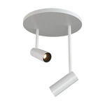 Downey 2 Light Adjustable Spot - White