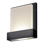 Guide Wall Sconce - Black / Frosted