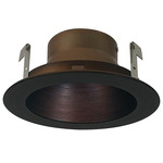 NL Series 4IN RD Adjustable Reflector Trim - Bronze Reflector / Bronze Flange