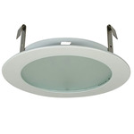 4IN Round Line Voltage PAR Trim with Frost Lens - White / Frost