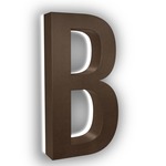 Luma Stainless Illuminated Numbers / Letters - Bronze