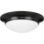 Etched Ceiling Light Fixture - Black / Etched Glass