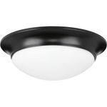 Etched Ceiling Light Fixture - Black / Etched Glass