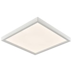 Essentials Square Ceiling Light Fixture - White / White
