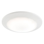 Plandome Ceiling Light Fixture - Matte White / White