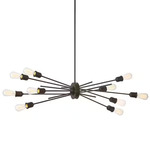 Nebraska 10 Light Pendant - Espresso