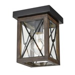 County Fair Outdoor Ceiling Light Fixture - Ironwood / Black / Clear