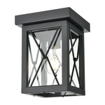 County Fair Outdoor Ceiling Light Fixture - Black / Clear