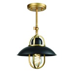 Peggys Cove Wall / Ceiling Light - Venetian Brass / Graphite