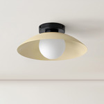 Arundel Orb Surface Mount - Black Canopy / Bone Shade