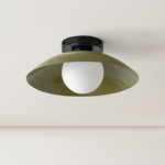 Arundel Orb Surface Mount - Black Canopy / Reed Green Shade