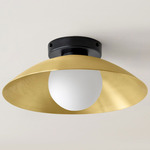 Arundel Orb Surface Mount - Black Canopy / Brass Shade