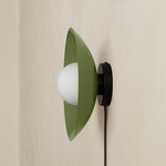 Arundel Orb Surface Mount - Black Canopy / Reed Green Shade