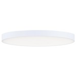 Trim Round 120V Ceiling Light - White / White
