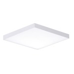 Trim Square Ceiling Light Fixture - White / White