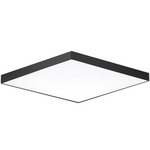 Trim Square Ceiling Light Fixture - Black / White