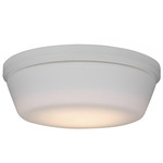 MC261 Universal LED Fan Light Kit - Matte White / Frosted
