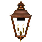 State Street Outdoor Wall Light - Antique Copper / Clear