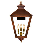 Conception Outdoor Wall Light - Antique Copper / Clear