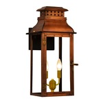 Palmetto Street Outdoor Wall Light - Antique Copper / Clear