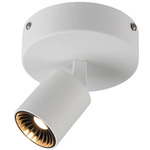 Cayman Adjustable Spot Ceiling Light - White