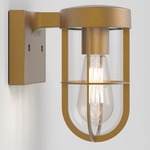 Cabin Outdoor Wall Sconce - Antique Brass / Clear