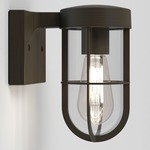 Cabin Outdoor Wall Sconce - Bronze / Clear
