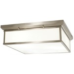 Traditional Ceiling Light - Brushed Nickel / Etched White