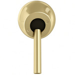 Slant Ceiling Mount Canopy Kit - Polished Brass