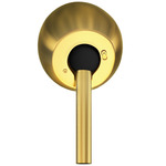 Slant Ceiling Mount Canopy Kit - Brushed Brass