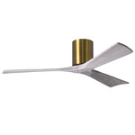 Irene Hugger Ceiling Fan - Brushed Brass / Barn Wood Tone