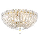 Floral Park Ceiling Light Fixture - Aged Brass / Clear