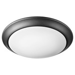 Senator Ceiling Light Fixture - Noir