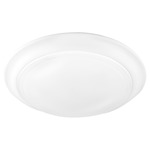 Senator Ceiling Light Fixture - Studio White