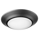 Senator Ceiling Light Fixture - Noir