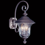 Carcassonne Outdoor Wall Sconce - Iron / Clear Mottled