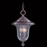 Carcassonne Outdoor Pendant - Siena Bronze / Clear Mottled