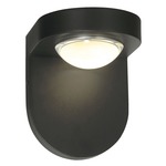 Pharos Outdoor Wall Sconce - Matte Black / Clear