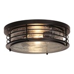 Archer Ceiling Light Fixture - Black / Clear Seedy