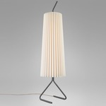 Fliegenbein SL Standing Lamp - Dark Gray / Natural