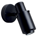 Biny Spot Wall Sconce - Matte Black / Black