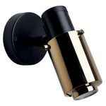 Biny Spot Wall Sconce - Matte Black / Gold