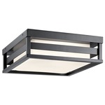 Ryler Outdoor Ceiling Light Fixture - Black / Satin Etched