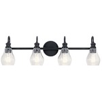 Greenbrier Bathroom Vanity Light - Black / Clear Seeded