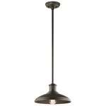 Allenbury Outdoor Convertible Pendant - Olde Bronze