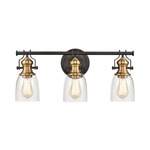 Chadwick Bathroom Vanity Light - Oil Rubbed Bronze / Clear Seeded